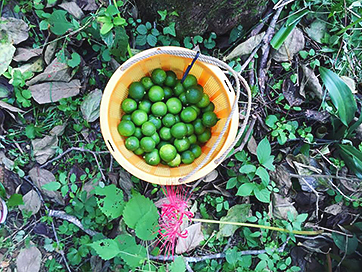 ayako-doi-kamikatsu2